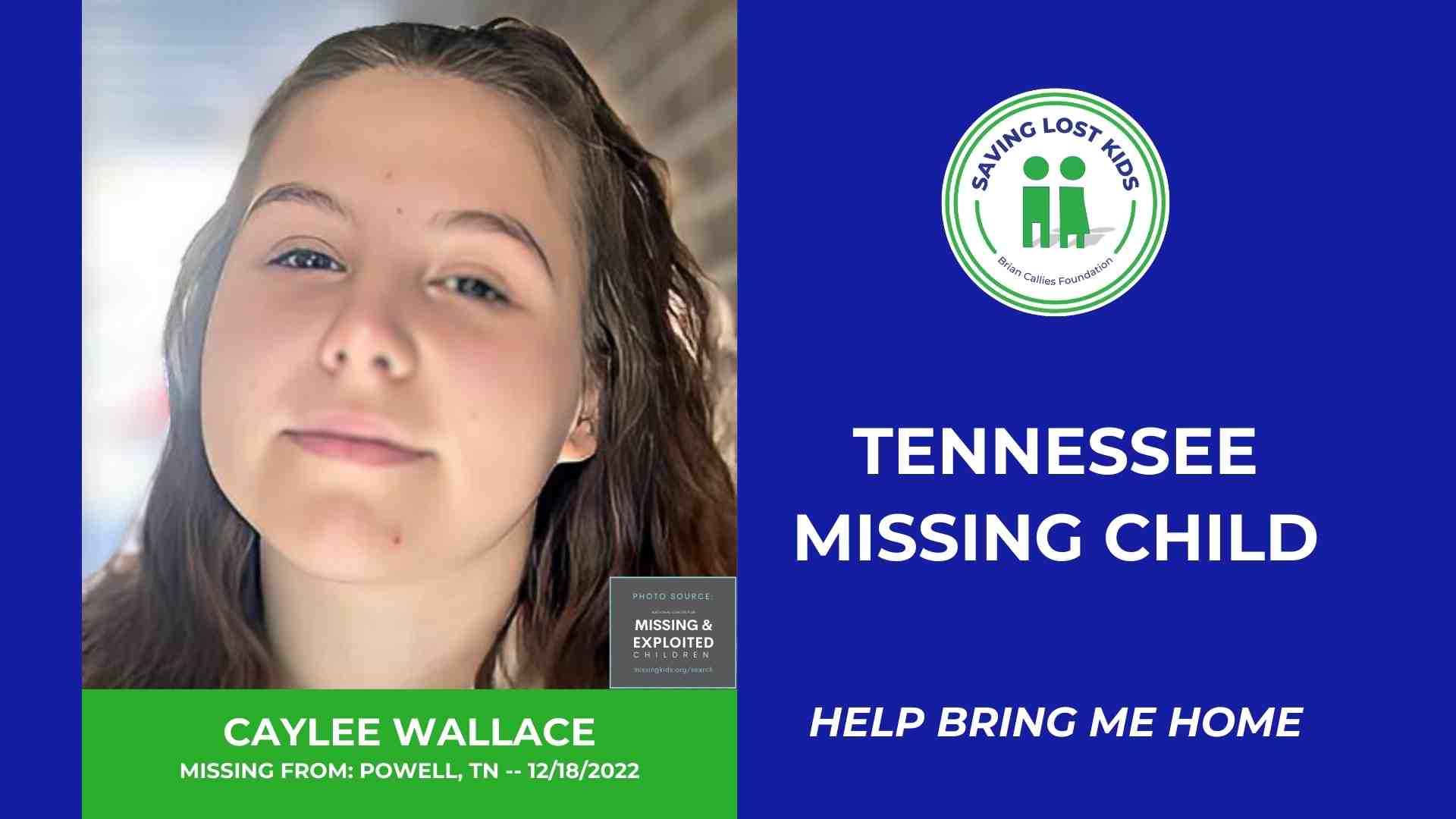 CAYLEE WALLACE - 17YO MISSING POWELL, TN GIRL - EAST TN hdr