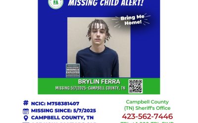 Brylin Ferra